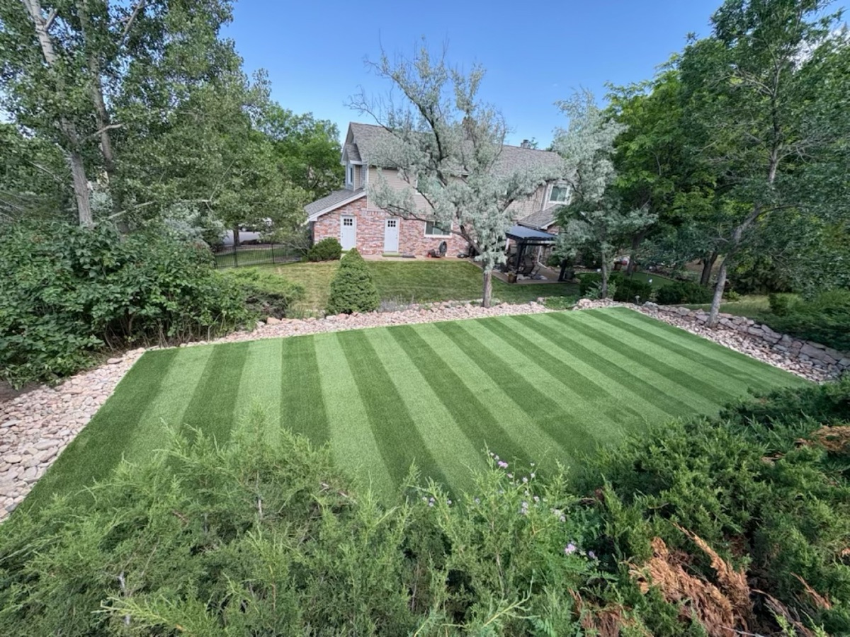 Blooming & De-Compacting