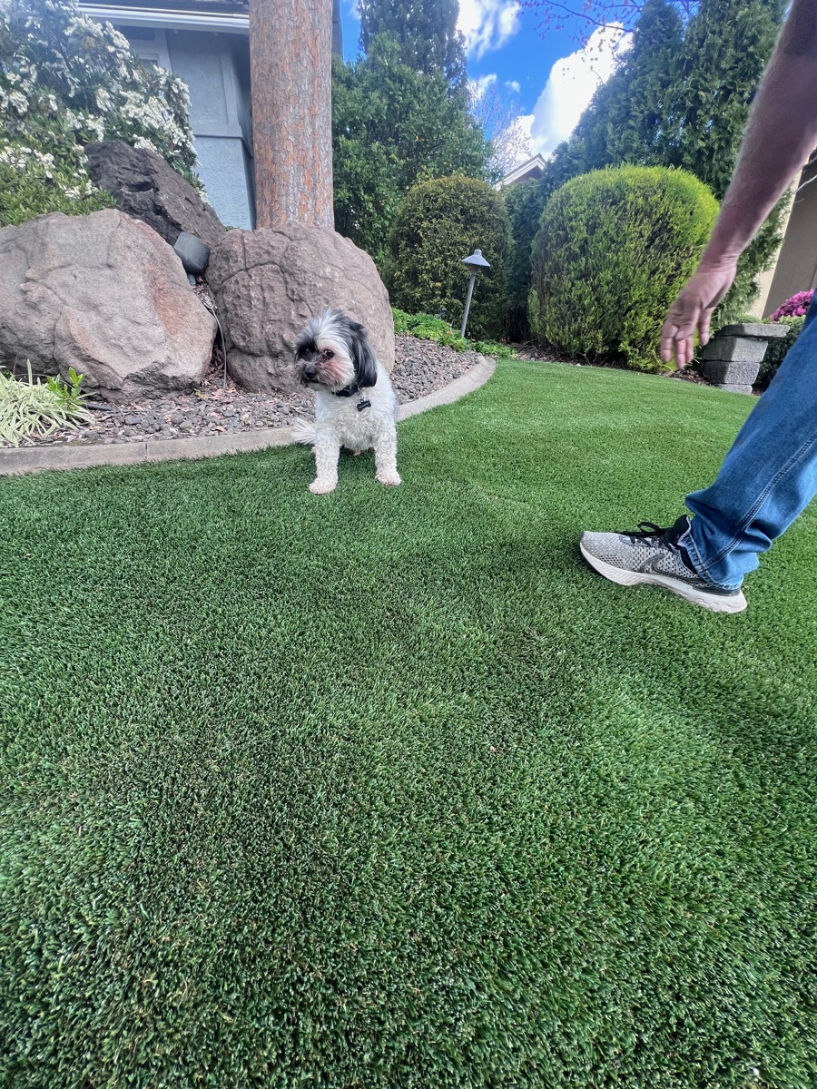 Protecting Artificial Turf from Colorado Summer UV