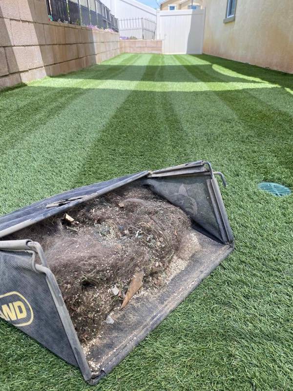 Pet-Safe Artificial Turf Cleaning for Dog Owners