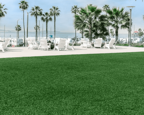 Managing Pet Odor on Artificial Turf: What Actually Works